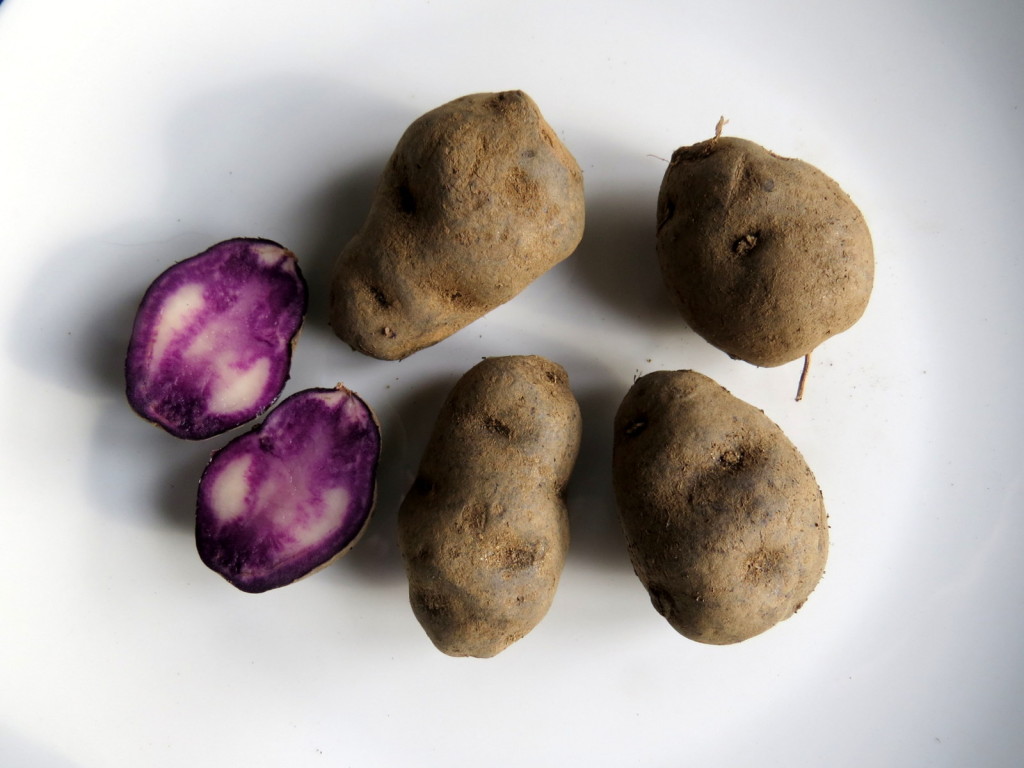 Vitelotte Potatoes