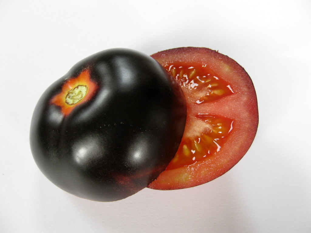 A ripe OSU Blue fruit, with red skin and flesh underneath the black skin