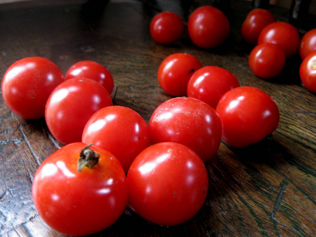 Shiny red ripe fruit. Picture Jayb.