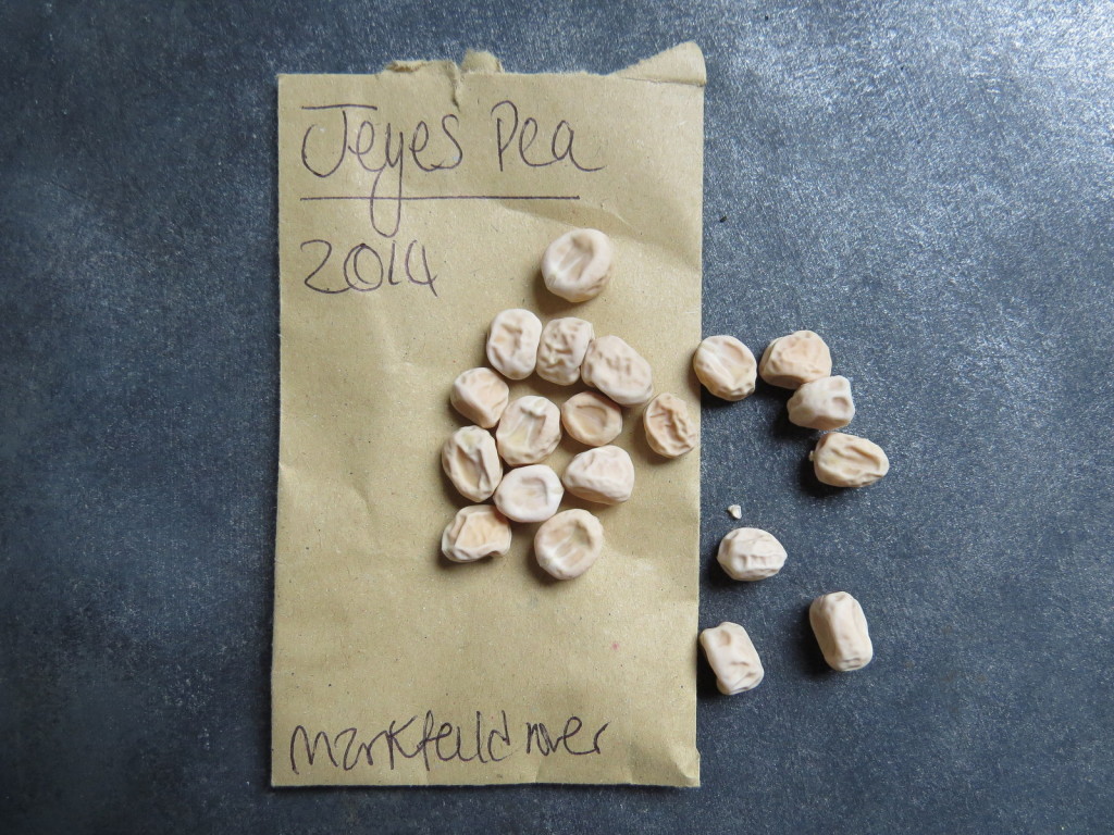 Seeds shared with the group. Picture Jayb